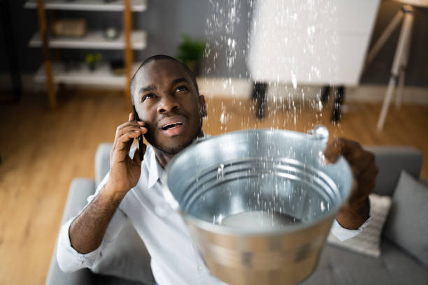 Best Water damage restoration company  in Floresville, TX