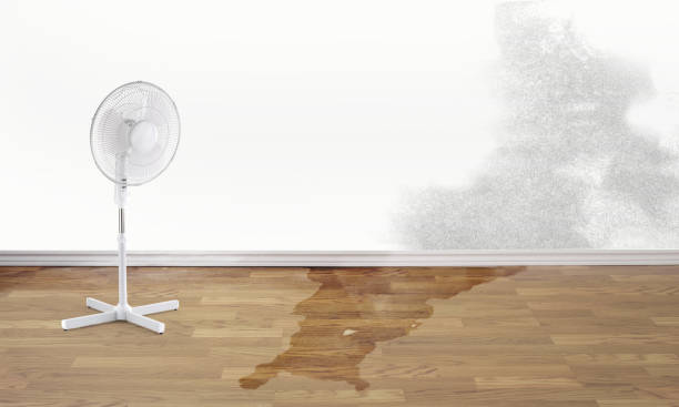 Best Water damage restoration experts  in Floresville, TX