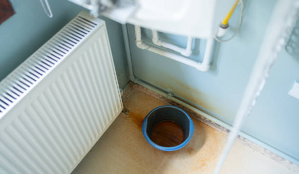Best Flood restoration services  in Floresville, TX