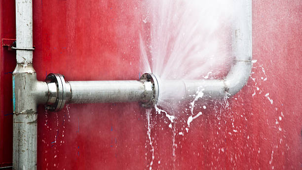 Best Water damage mitigation services  in Floresville, TX